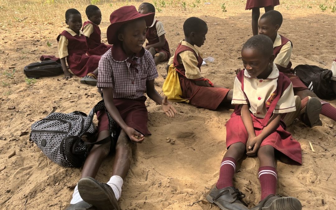 Once Prestigious, Now Forgotten: The Deteriorating Standards of Zimbabwe’s Government Schools